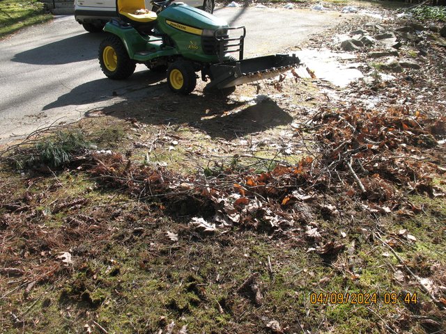 IMG-7755.jpg