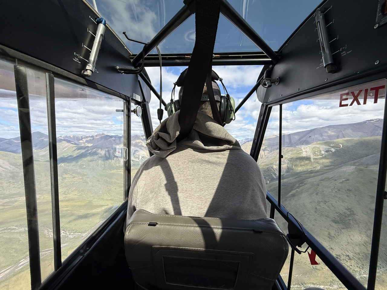 nwt s cub