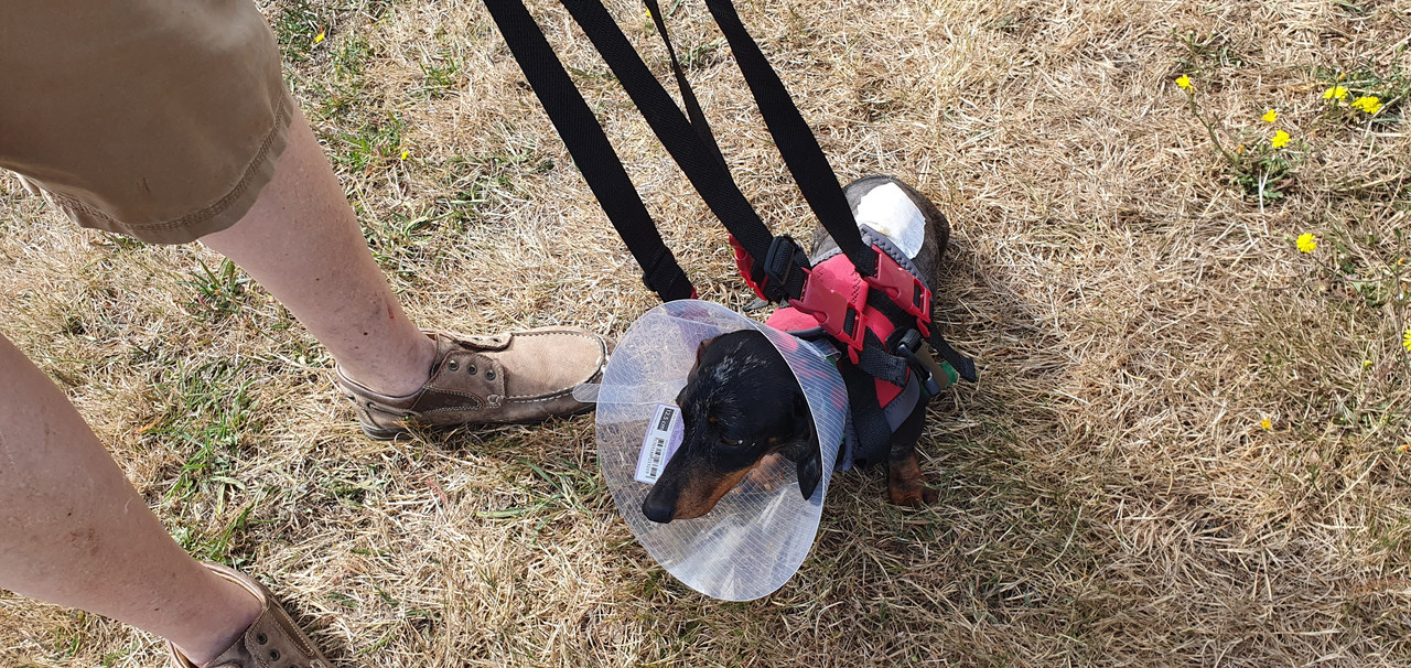 [Image: 20230721-111229.jpg]