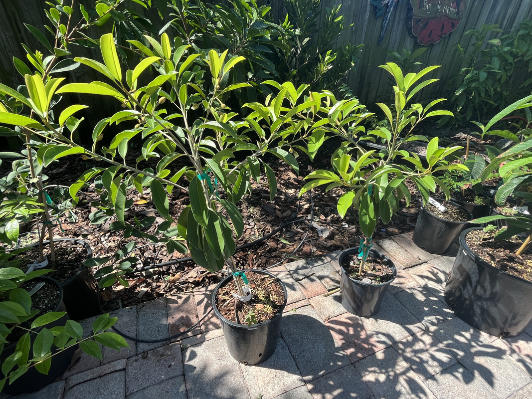 055D5461-31FB-43CA-93FF-55C23A4746F5