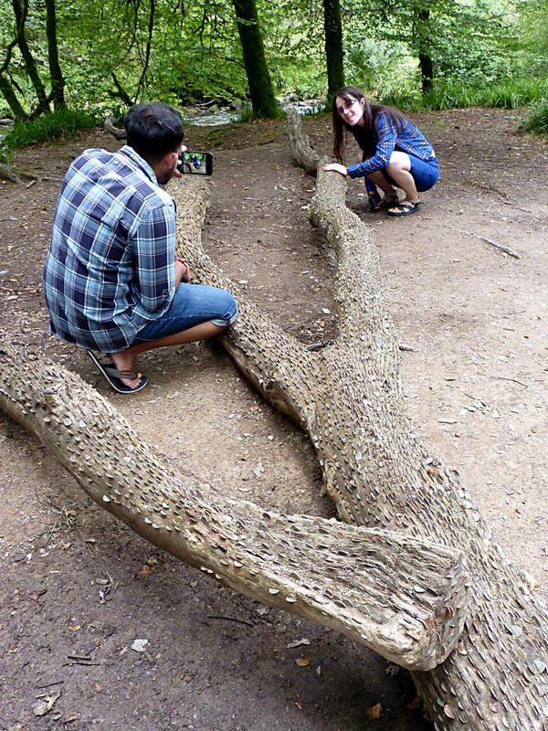 P1030537.jpg