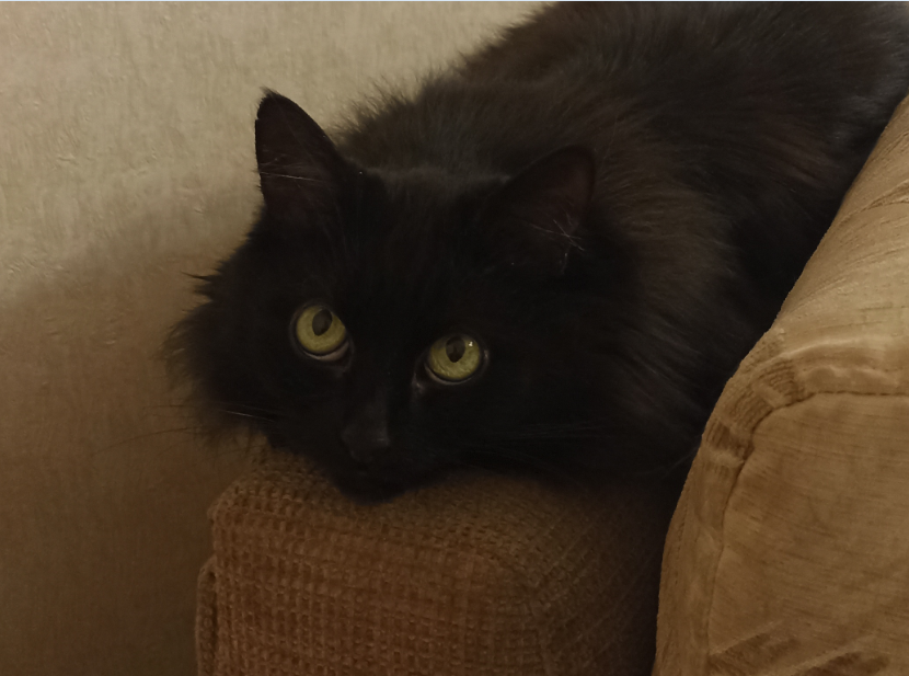 Безымянный33