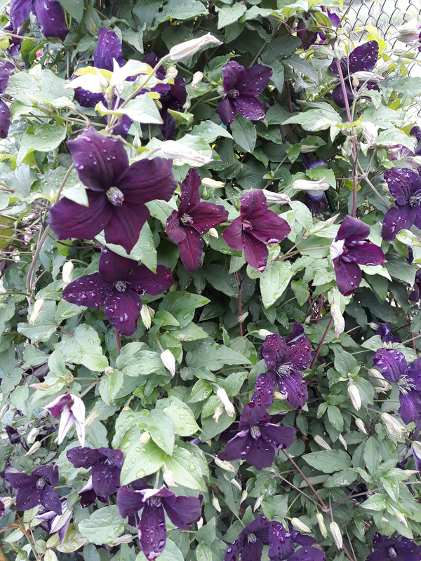 20190601_085414