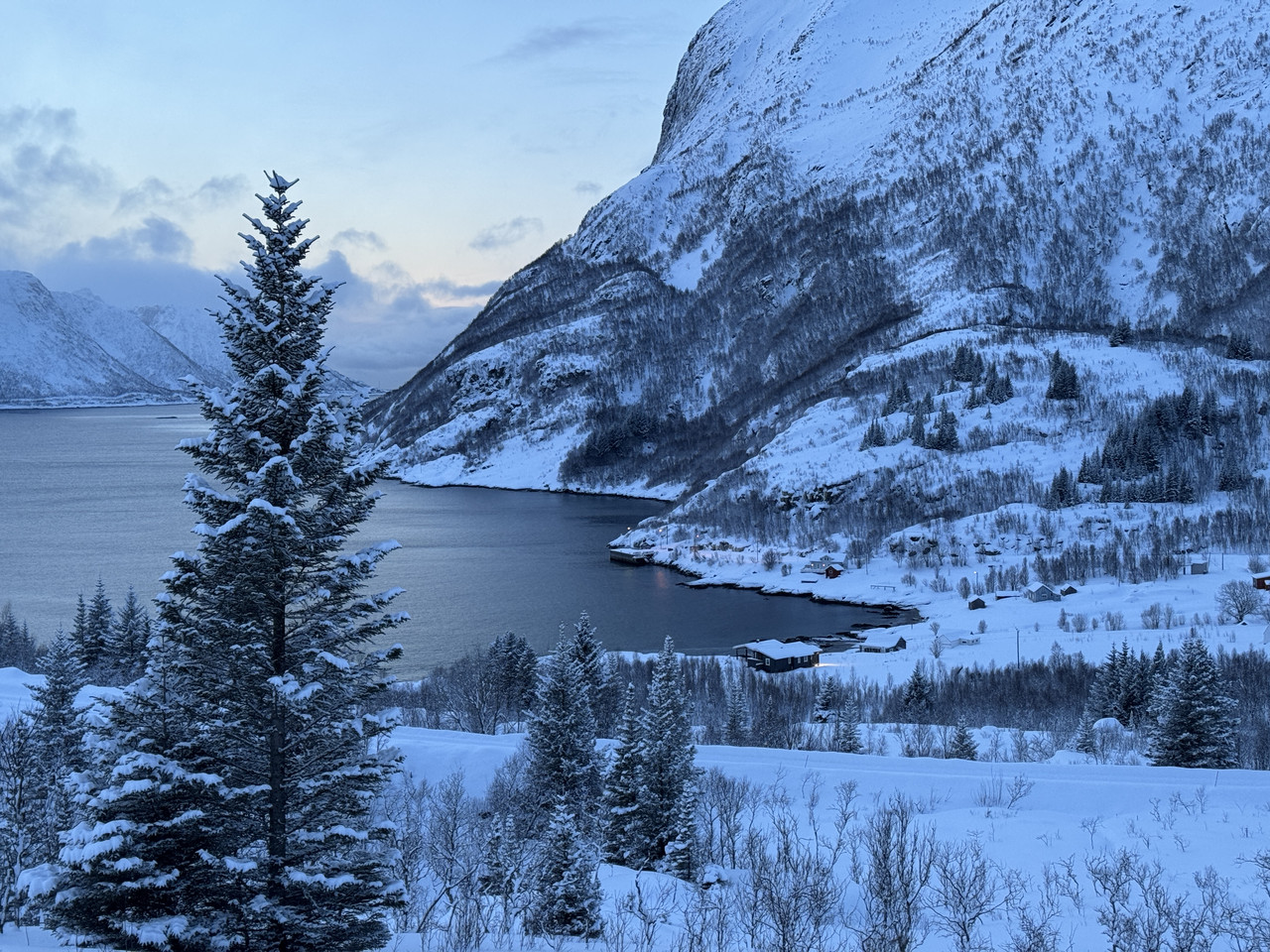 [Immagine: IMG_8394.jpg]