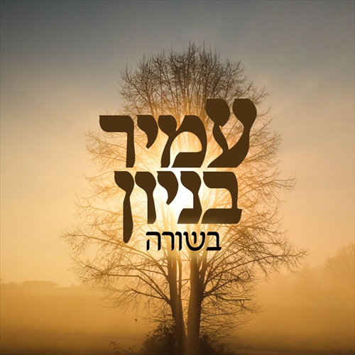 תמונה