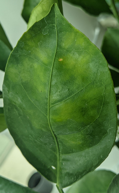 PXL_20230818_175414502