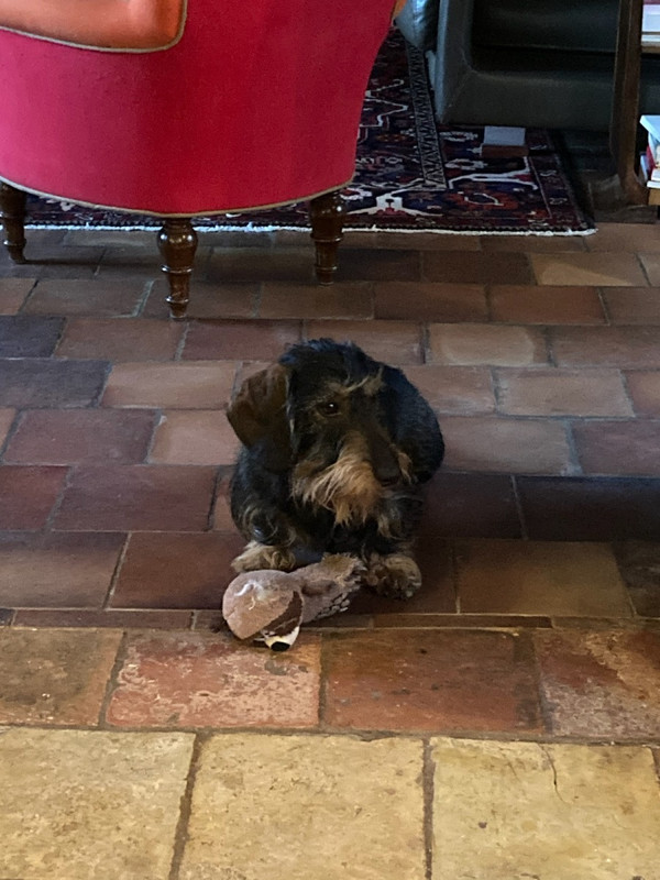 [Image: IMG-1593.jpg]