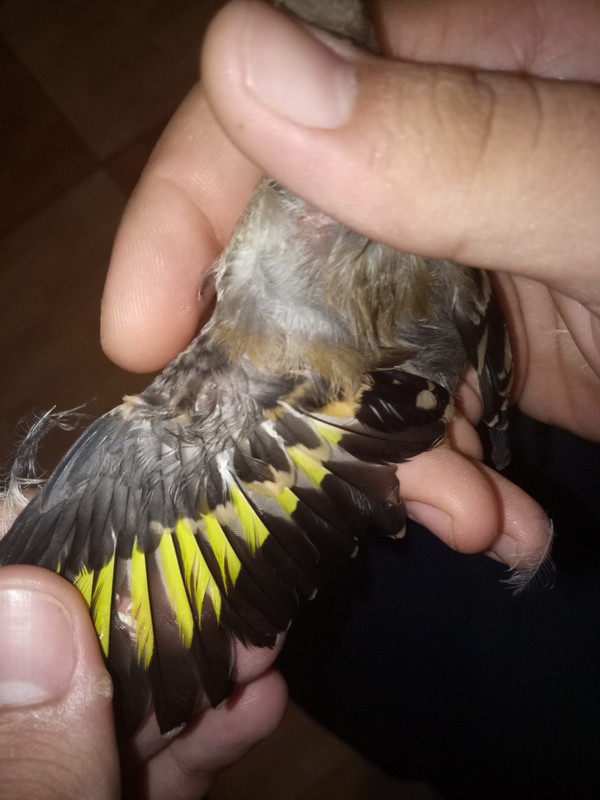 IMG20180915175634