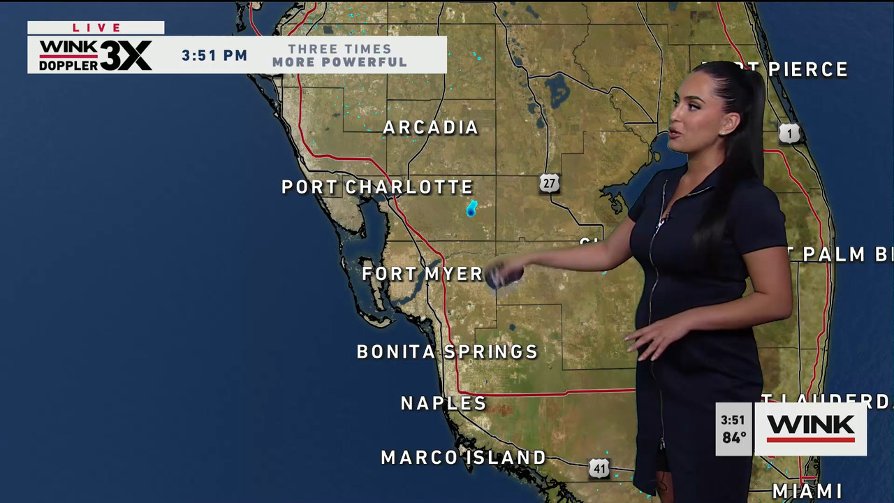 01.31 - 20.00.00 - WINK News at 3pm  ᴺᵉʷ..ts_snapshot_00.58.05.955
