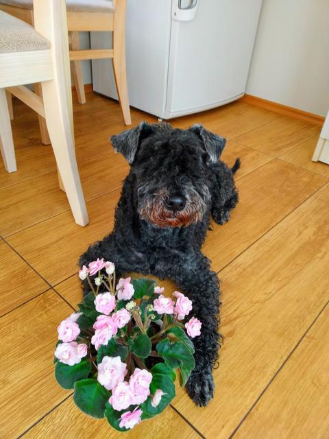 325607-F8-B6-AB-4-A79-85-FF-25-A3473-C5-