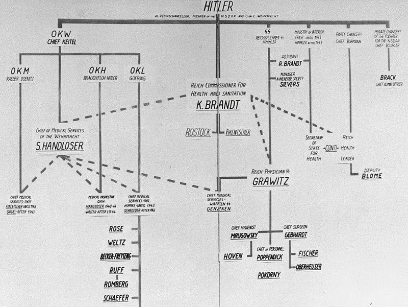 Diagrama mostrado durante el Juicio