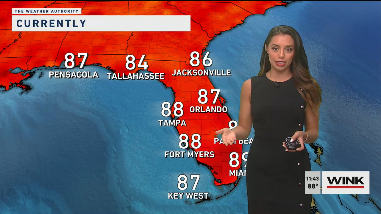 WINK News at 11 30 a.m. Sunday 2022_07_24_16_30_00.ts_snapshot_16.30.772