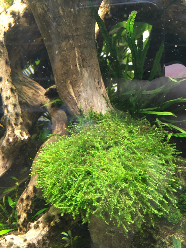 6E5365D5-EF0D-4A26-8CB6-2AD4DE7D9E55