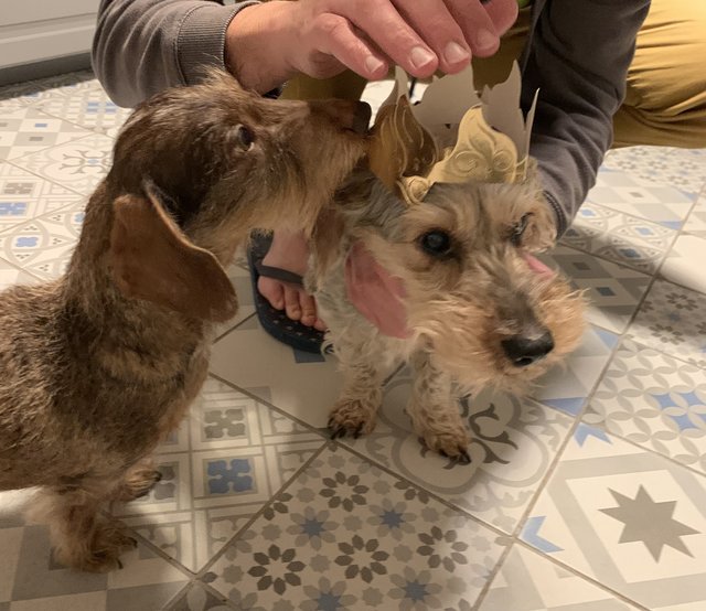 [Image: 0807-DFA6-95-B7-4099-8077-56-BE537-B0-F5-D.jpg]