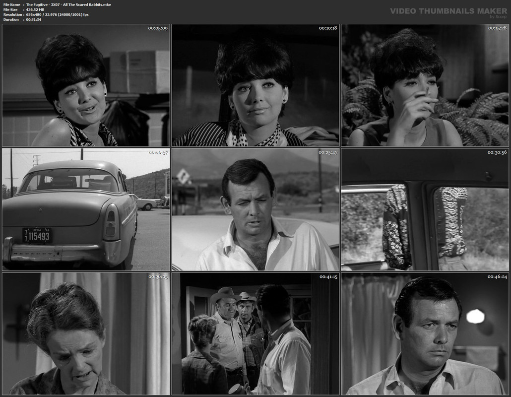 The Fugitive - 3X07 - All The Scared Rabbits.mkv