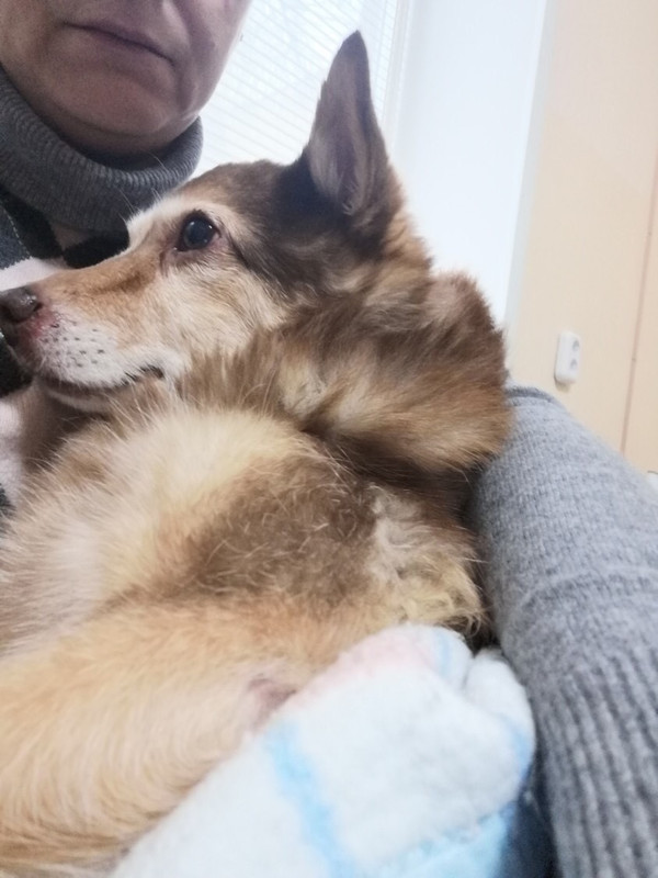 7B6E6B0F-4E1C-4B7A-AE80-042B0A5891A1