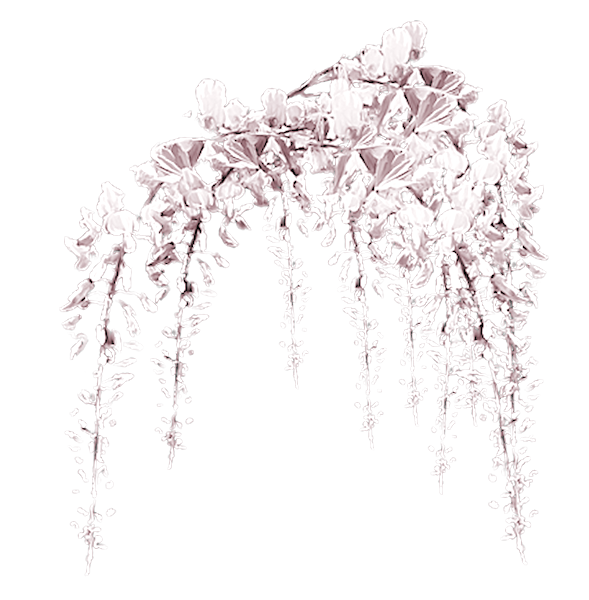 TADD_elements_PrincessParisian (90)