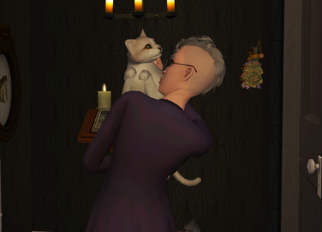 Sims2-EP9-RPC-2023-06-17-19-46-30-10