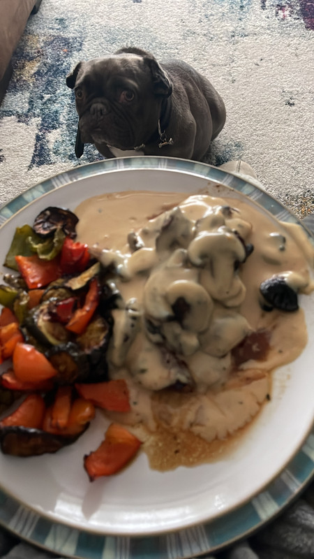 14E444D1-D116-40F1-918A-9A1D6894FAB1