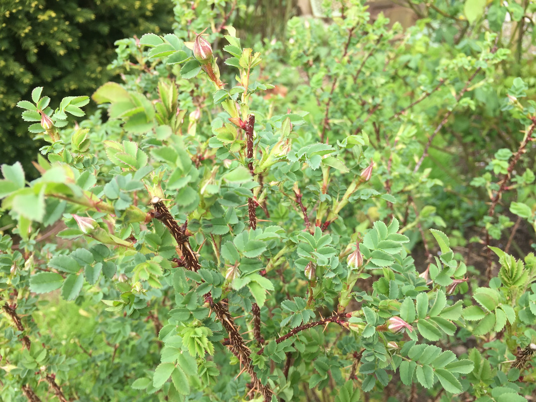 600D5347-9DE5-4D33-97A8-BD0D529A5E27