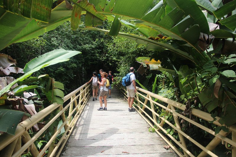 DE TORTUGAS Y PEREZOSOS. COSTA RICA 2019 - Blogs de Costa Rica - DIA 14: PARQUE DE MANUEL ANTONIO (6)