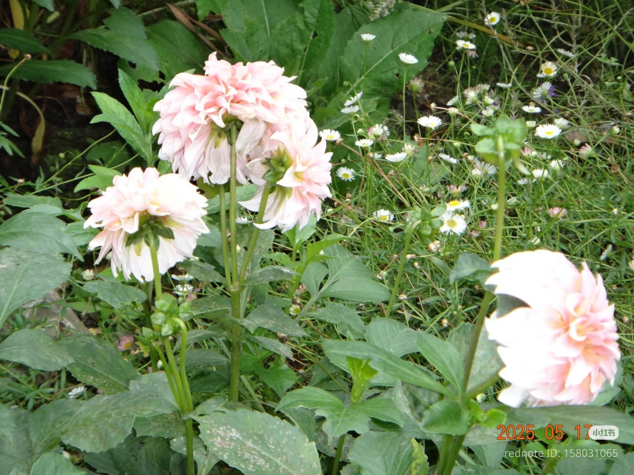 photo 16 2025 12 27 21 29 38