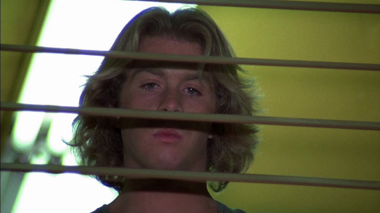 vlcsnap-2024-09-08-17h45m04s344