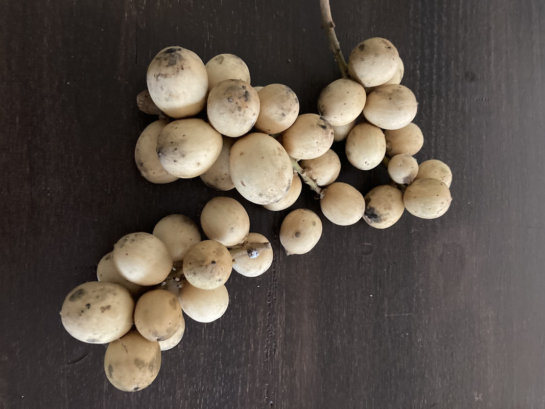 8AF5BC04-50F0-455D-A855-C690ED918D54