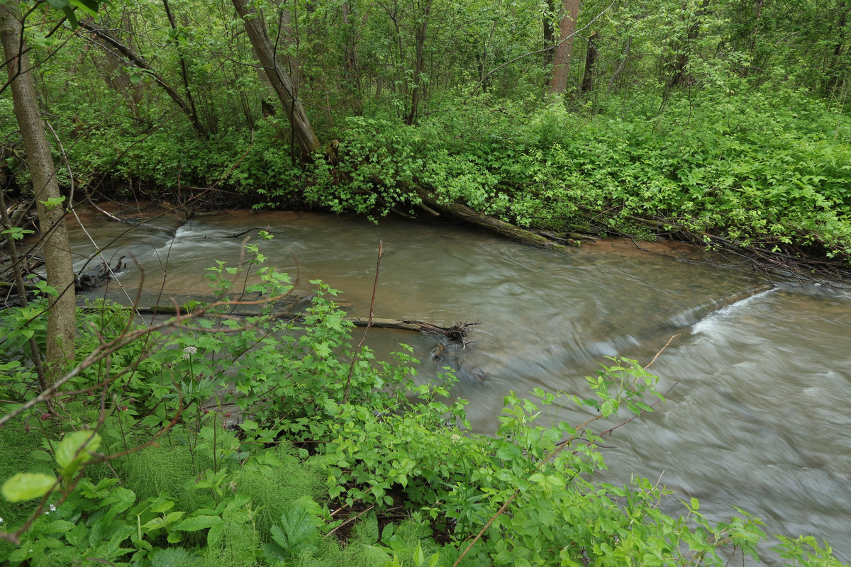 IMG_5598 (2592 x 1728)