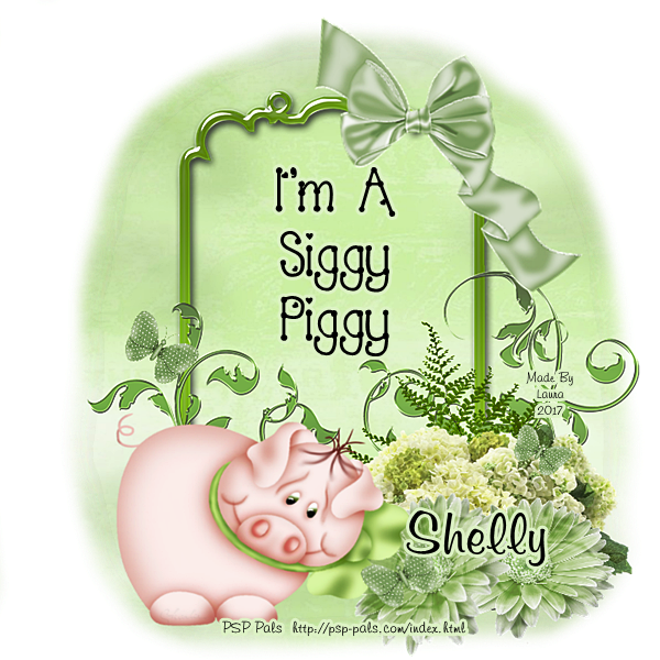 ShellySiggyPiggy-vi
