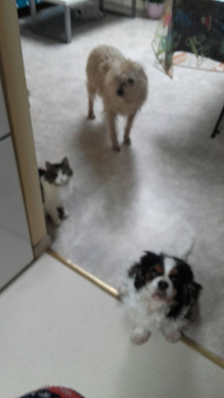 EDF6B689-BB12-4A64-8277-DFD0E88A9012