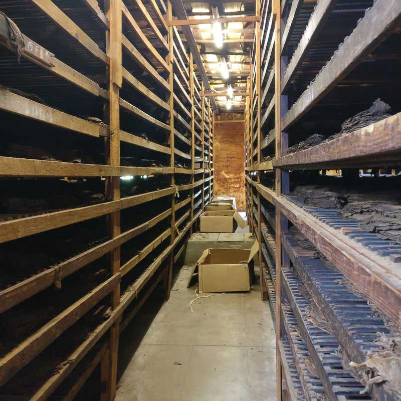 IMG_20180918_131422_01