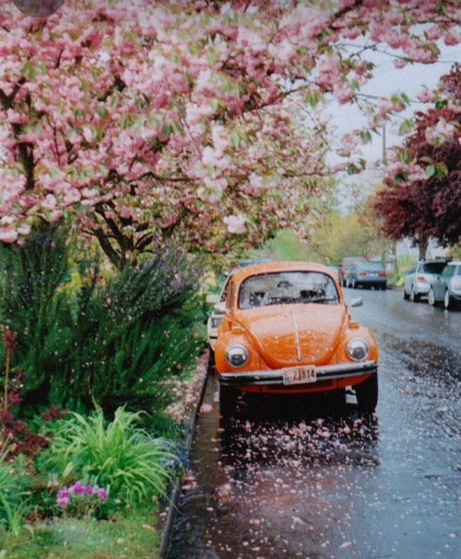 Screenshot_20230906_002449_Pinterest