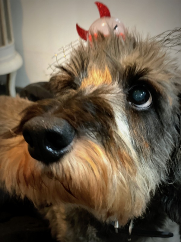 [Image: IMG-0770.jpg]