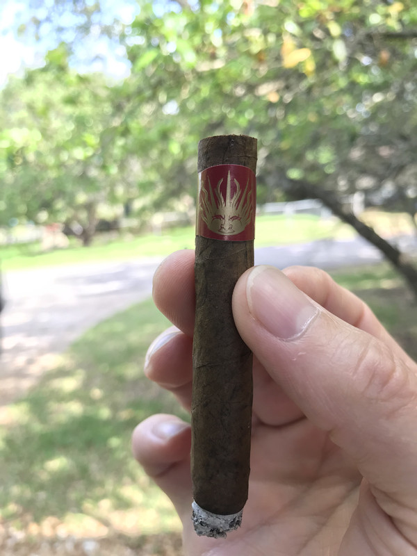 10BD1DAF-2257-4D99-BBD0-9BC6F4E17E7F