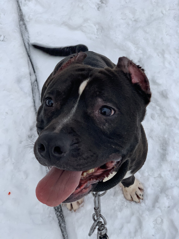 9E8FEEDF-06B6-47A2-BAA0-E38AF260C9AC