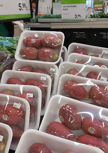 [Image: 20200817-164233.jpg]