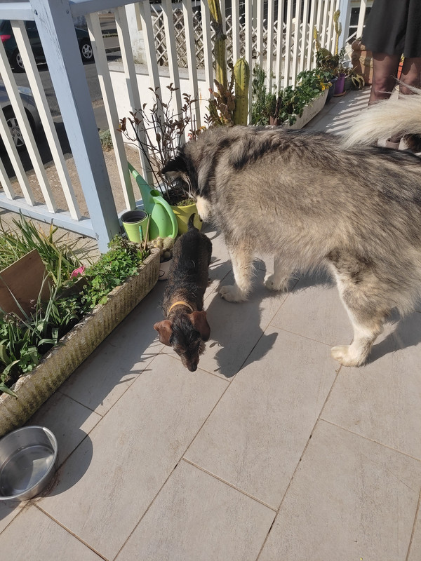 [Image: IMG-20220322-134255.jpg]