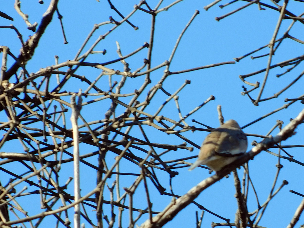 DSCN0484.jpg