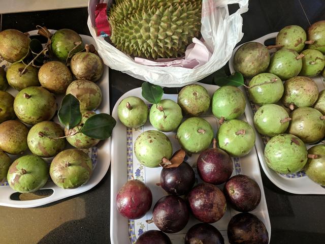 [Image: IMG-20190330-112335.jpg]