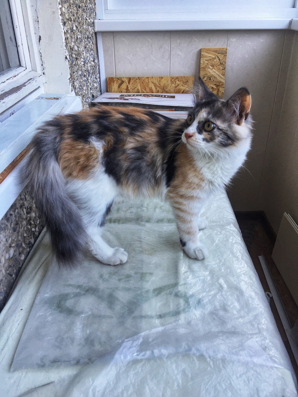 50D393C5-D3D2-4246-B707-DC41307135E6