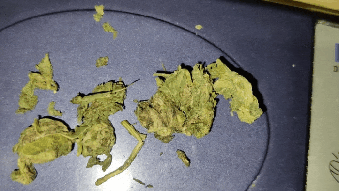 GIF-20250706-071610-195.gif