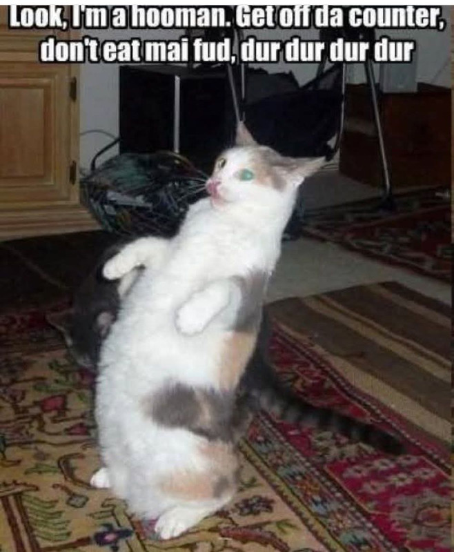 WhatsApp Image 2025-07-23 at 21.41.15