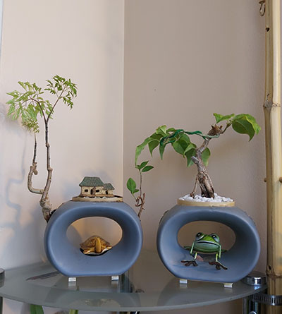 [Image: IMG-20200615-135321.jpg]