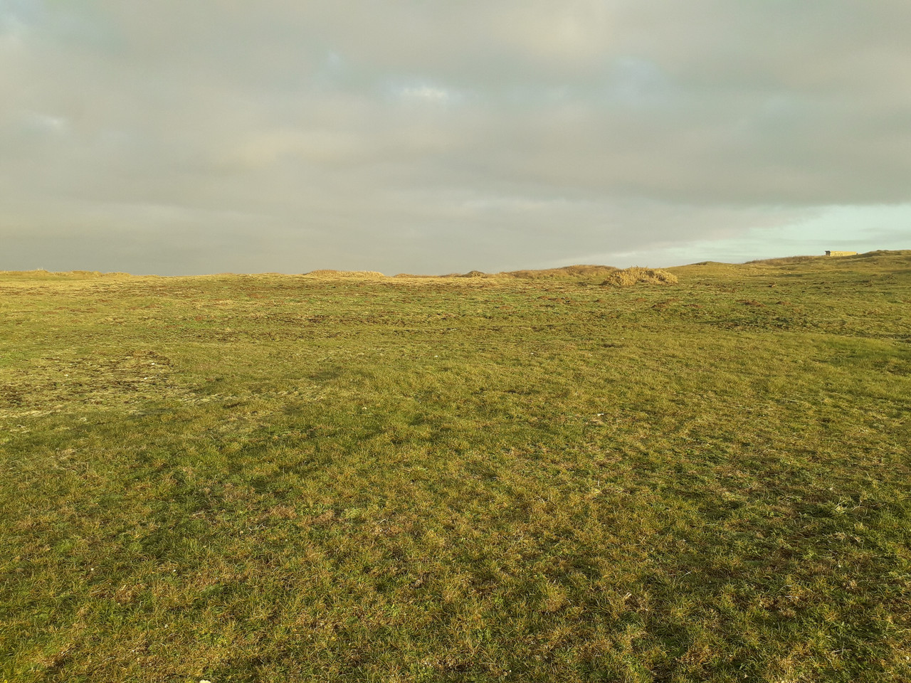 20251213 Quiberon côté lande