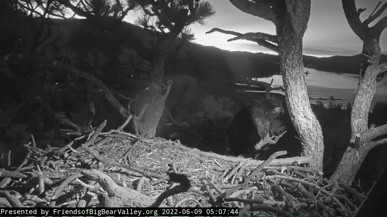 Webp.net-gifmaker (1)