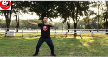 Tai Chi Qi Gong Fitness for Office - Relax Mind and Body BDJ