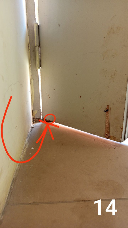 IMG 20260314 103507 207