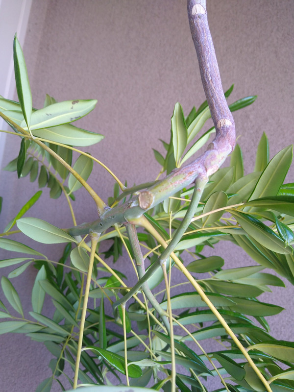 image1(1)