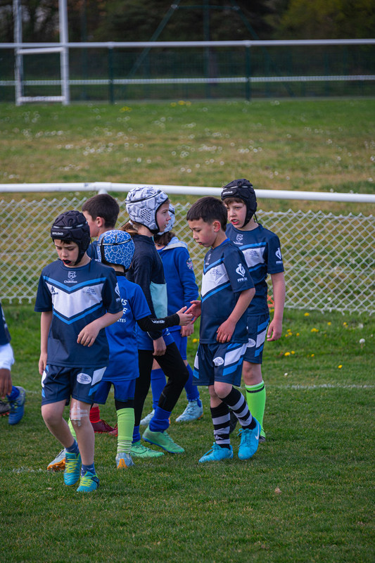 tournoi-de-latlantique-2026-adonis-griffon-92-55181457123-l